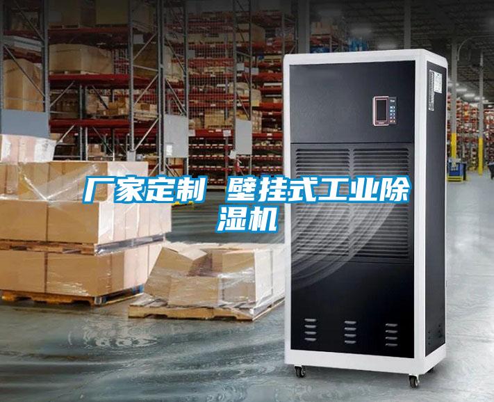 廠家定制 壁掛式工業除濕機