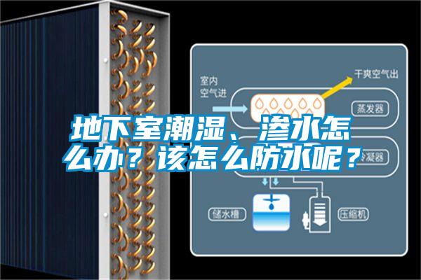 地下室潮濕、滲水怎么辦？該怎么防水呢？