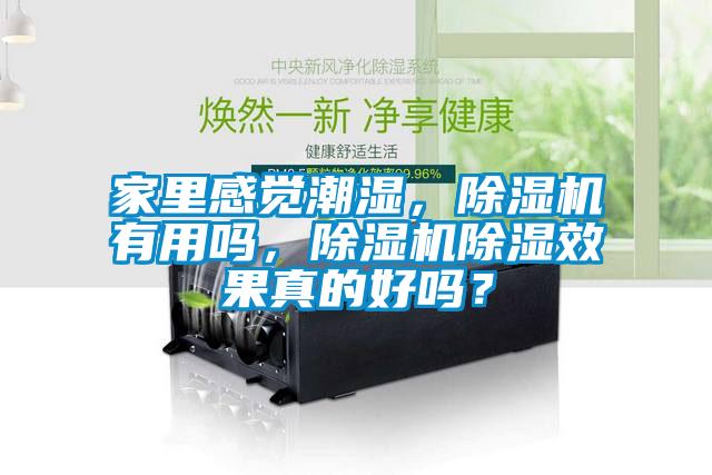 家里感覺潮濕，除濕機有用嗎，除濕機除濕效果真的好嗎？