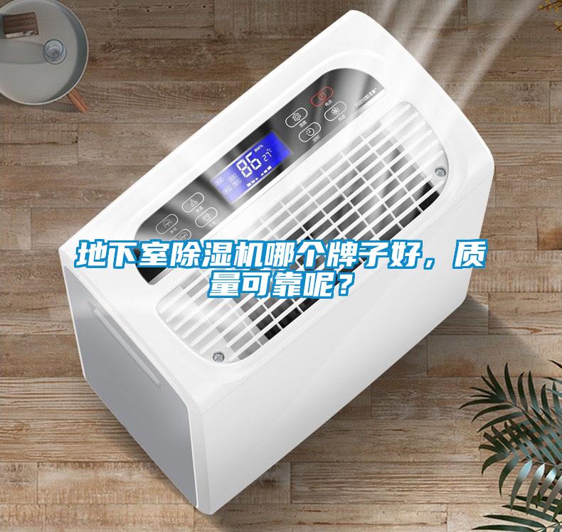 地下室除濕機哪個牌子好，質量可靠呢？