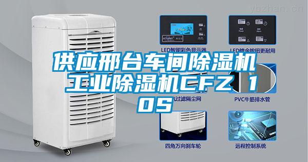 供應邢臺車間除濕機 工業除濕機CFZ 10S