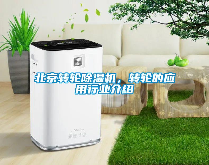 北京轉輪除濕機，轉輪的應用行業介紹
