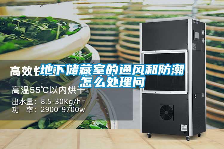 地下儲藏室的通風和防潮怎么處理問