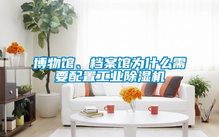 博物館、檔案館為什么需要配置工業除濕機
