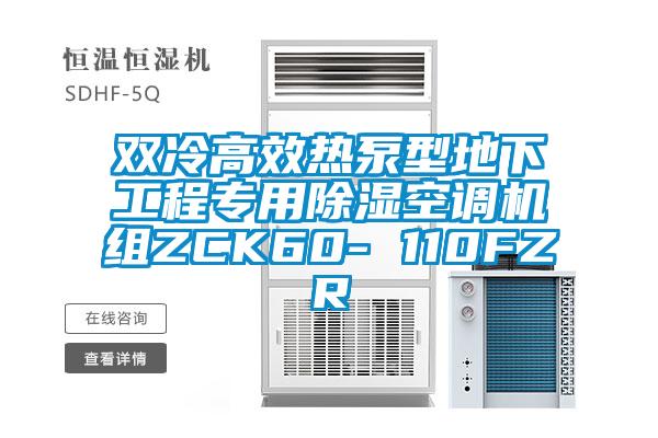 雙冷高效熱泵型地下工程專用除濕空調機組ZCK60- 110FZR