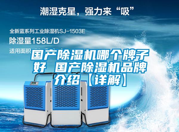國產除濕機哪個牌子好 國產除濕機品牌介紹【詳解】