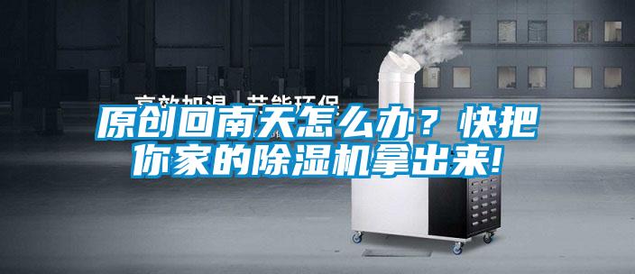 原創回南天怎么辦？快把你家的除濕機拿出來!