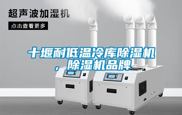十堰耐低溫冷庫(kù)除濕機(jī)，除濕機(jī)品牌