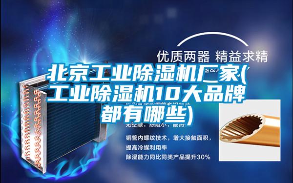 北京工業除濕機廠家(工業除濕機10大品牌都有哪些)