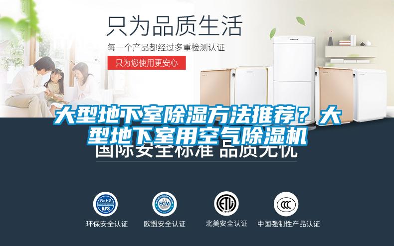 大型地下室除濕方法推薦?大型地下室用空氣除濕機