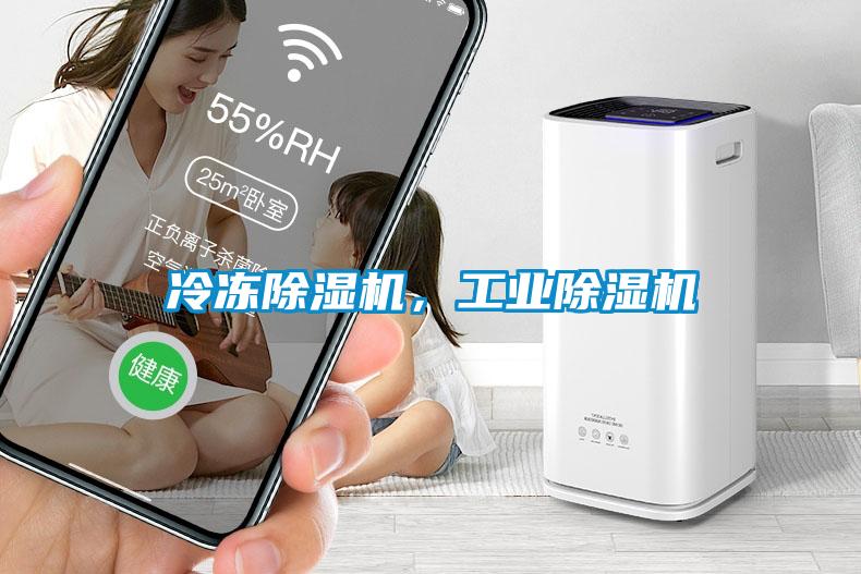 冷凍除濕機，工業除濕機
