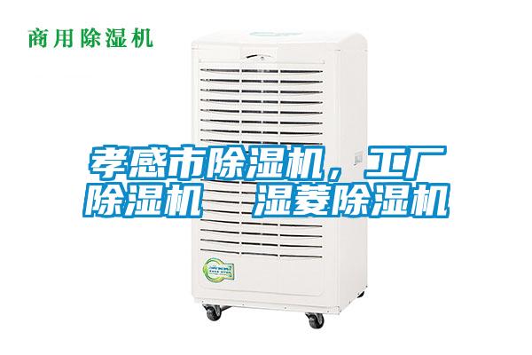 孝感市除濕機(jī)，工廠除濕機(jī)  濕菱除濕機(jī)