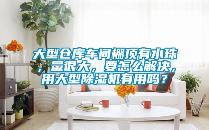 大型倉庫車間棚頂有水珠，量很大，要怎么解決，用大型除濕機有用嗎？