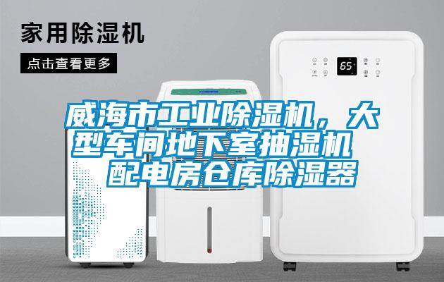 威海市工業除濕機，大型車間地下室抽濕機  配電房倉庫除濕器