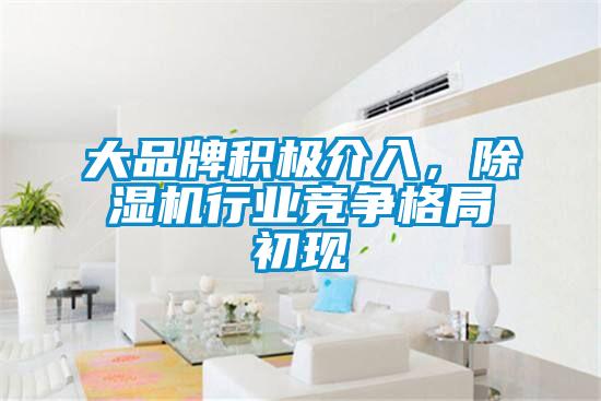 大品牌積極介入，除濕機(jī)行業(yè)競(jìng)爭(zhēng)格局初現(xiàn)