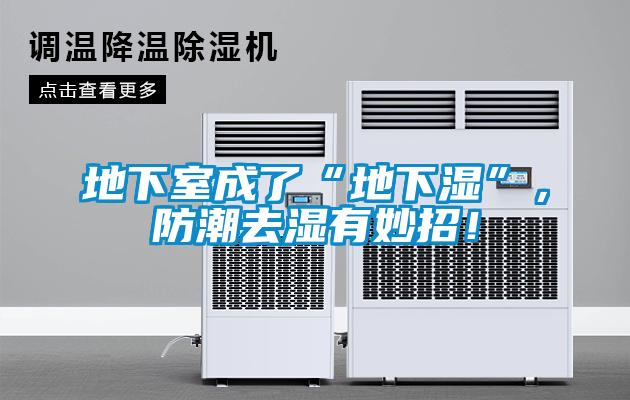 地下室成了“地下濕”，防潮去濕有妙招！