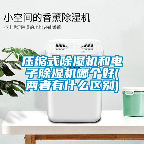 壓縮式除濕機和電子除濕機哪個好(兩者有什么區別)
