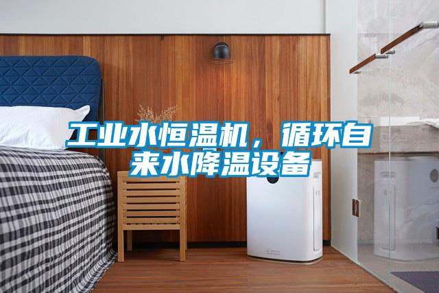 工業(yè)水恒溫機(jī)，循環(huán)自來水降溫設(shè)備