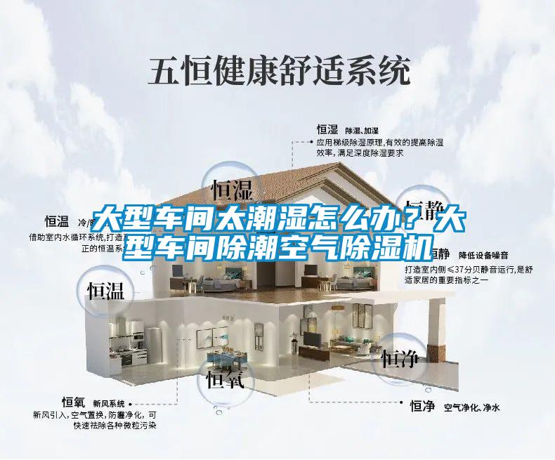 大型車間太潮濕怎么辦？大型車間除潮空氣除濕機