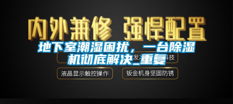 地下室潮濕困擾，一臺除濕機徹底解決_重復