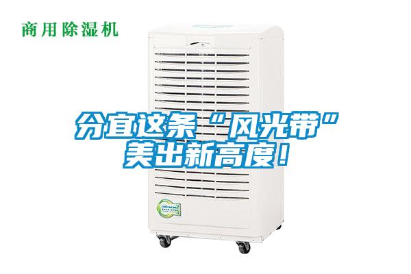 分宜這條“風光帶”美出新高度！