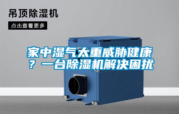 家中濕氣太重威脅健康？一臺除濕機解決困擾
