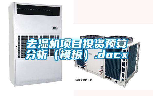 去濕機項目投資預算分析（模板）.docx