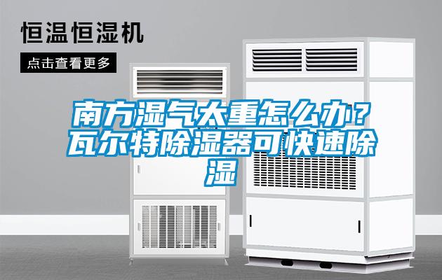 南方濕氣太重怎么辦？瓦爾特除濕器可快速除濕