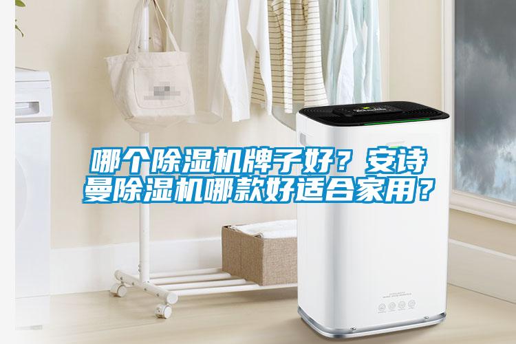 哪個除濕機牌子好？安詩曼除濕機哪款好適合家用？