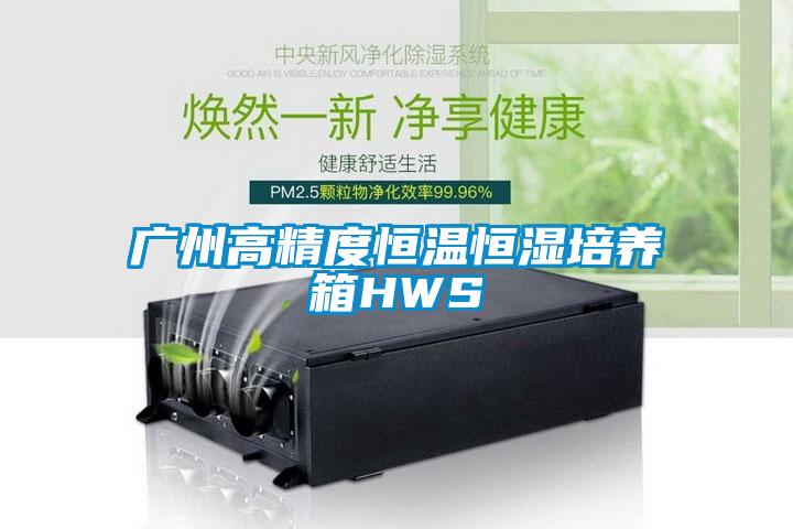 廣州高精度恒溫恒濕培養箱HWS
