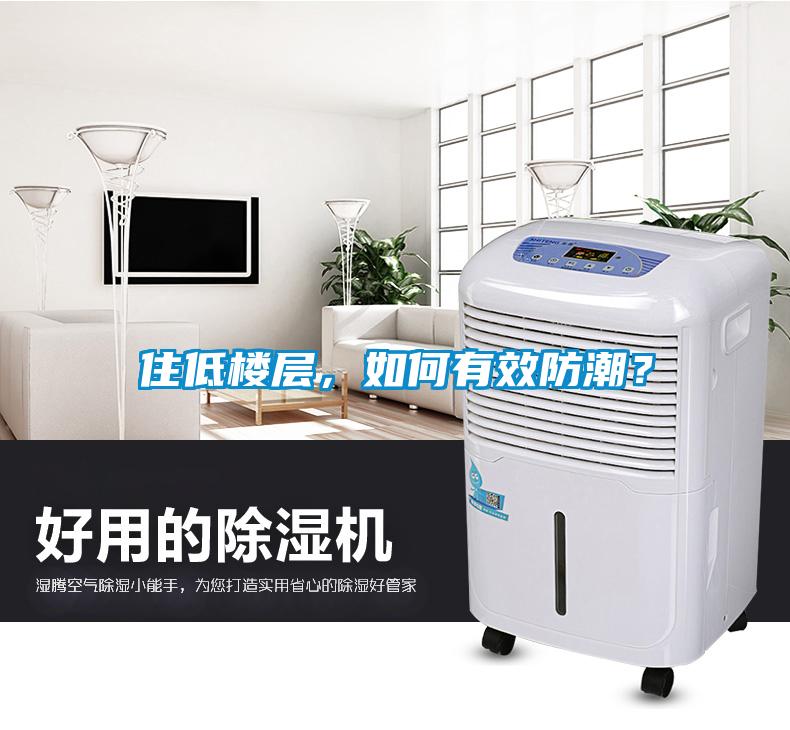 住低樓層，如何有效防潮？