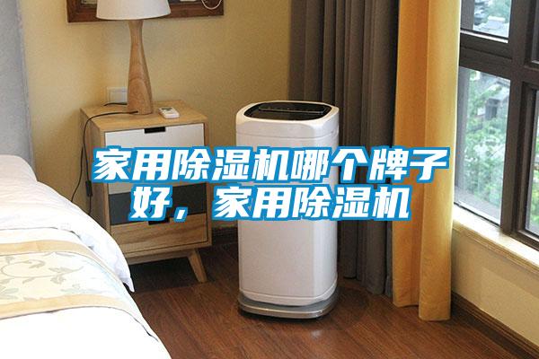 家用除濕機(jī)哪個(gè)牌子好，家用除濕機(jī)