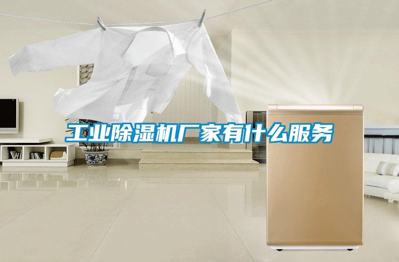 工業(yè)除濕機(jī)廠家有什么服務(wù)