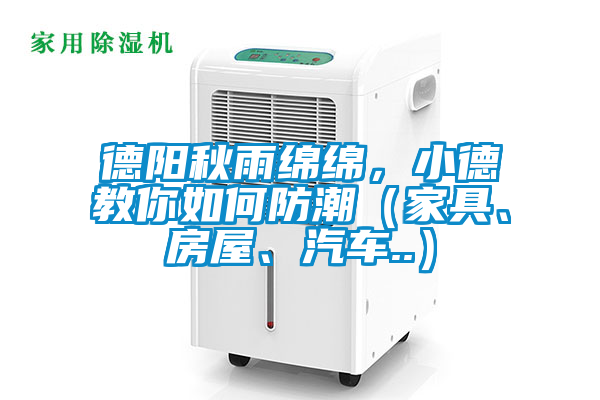 德陽秋雨綿綿，小德教你如何防潮（家具、房屋、汽車..）