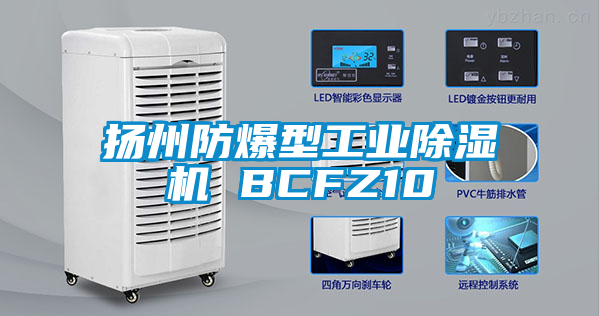 揚州防爆型工業除濕機 BCFZ10