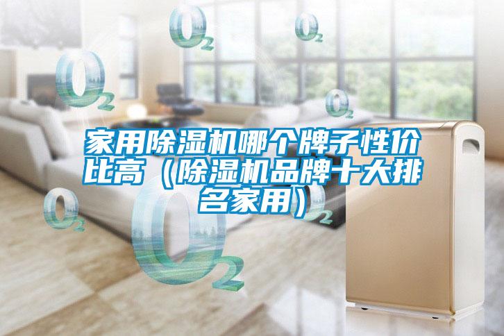 家用除濕機(jī)哪個牌子性價比高(除濕機(jī)品牌十大排名家用)