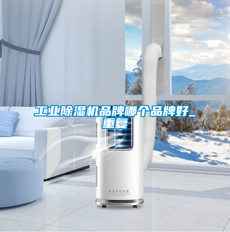 工業(yè)除濕機品牌哪個品牌好_重復