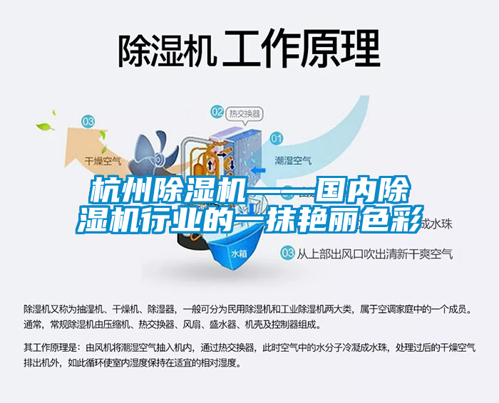 杭州除濕機——國內除濕機行業的一抹艷麗色彩