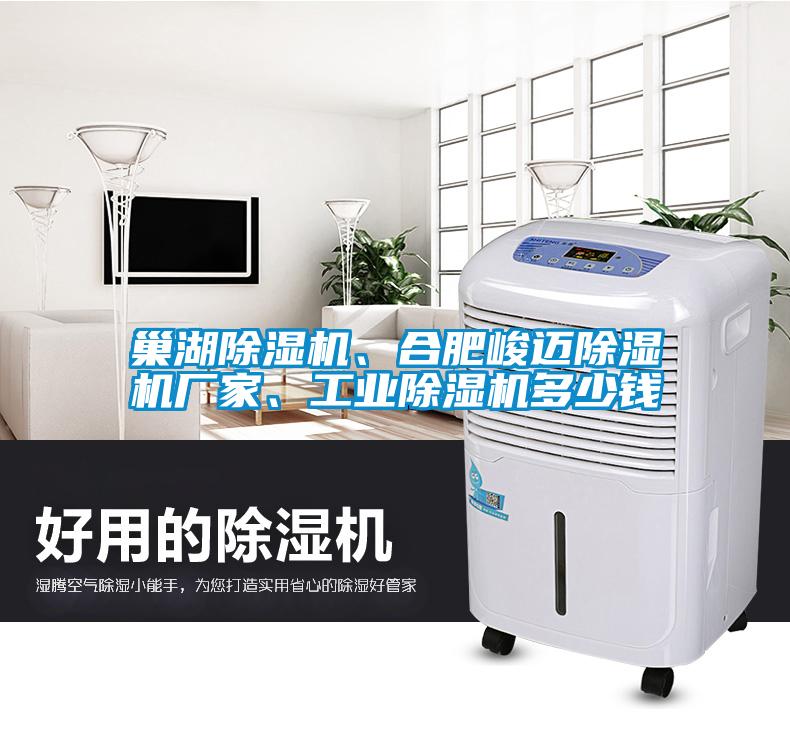 巢湖除濕機、合肥峻邁除濕機廠家、工業除濕機多少錢