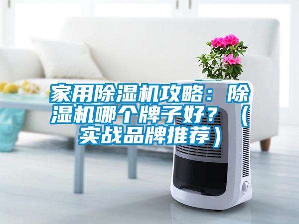 家用除濕機攻略：除濕機哪個牌子好？（實戰品牌推薦）