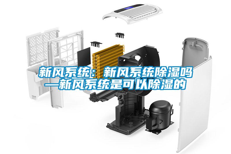 新風系統：新風系統除濕嗎—新風系統是可以除濕的