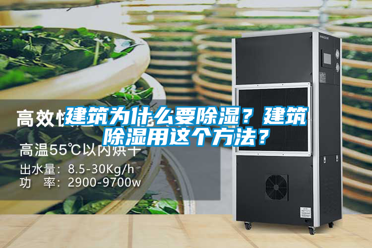 建筑為什么要除濕?建筑除濕用這個方法?