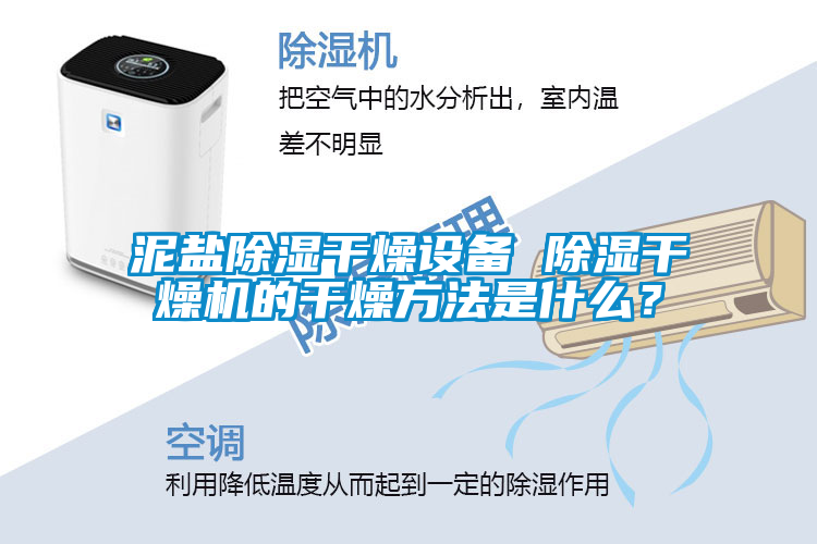 泥鹽除濕干燥設備 除濕干燥機的干燥方法是什么？