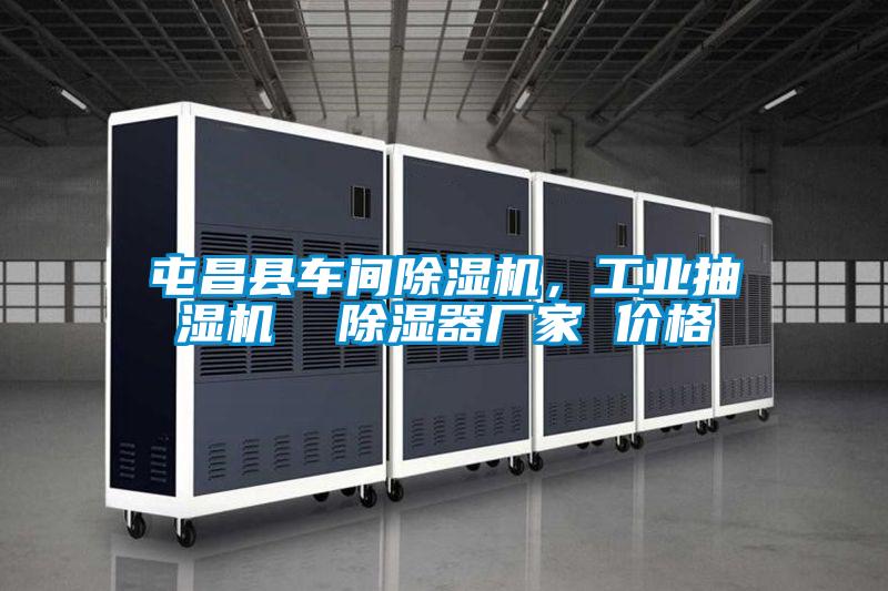屯昌縣車間除濕機，工業抽濕機  除濕器廠家 價格
