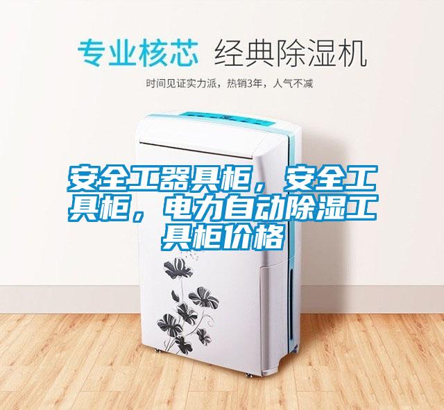 安全工器具柜，安全工具柜，電力自動(dòng)除濕工具柜價(jià)格