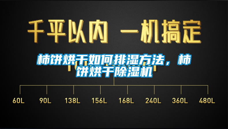柿餅烘干如何排濕方法，柿餅烘干除濕機