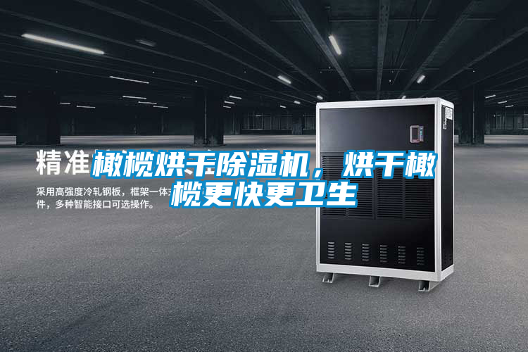 橄欖烘干除濕機，烘干橄欖更快更衛生