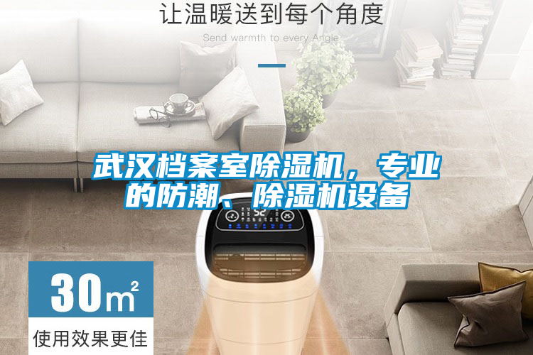 武漢檔案室除濕機，專業(yè)的防潮、除濕機設(shè)備