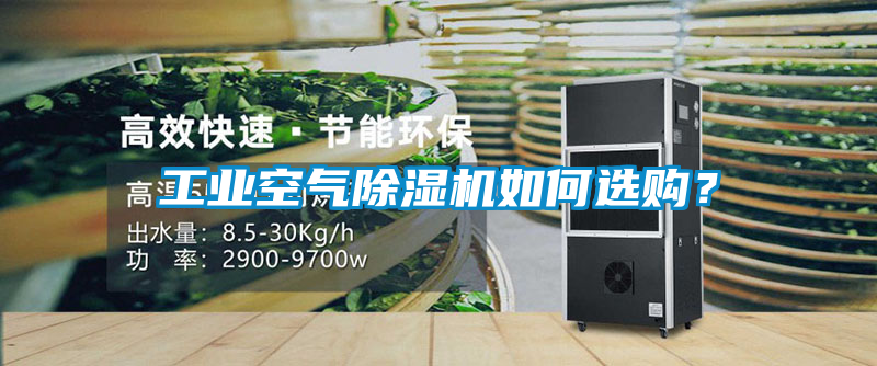 工業空氣除濕機如何選購？