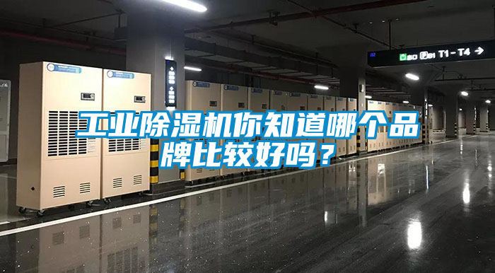 工業除濕機你知道哪個品牌比較好嗎？